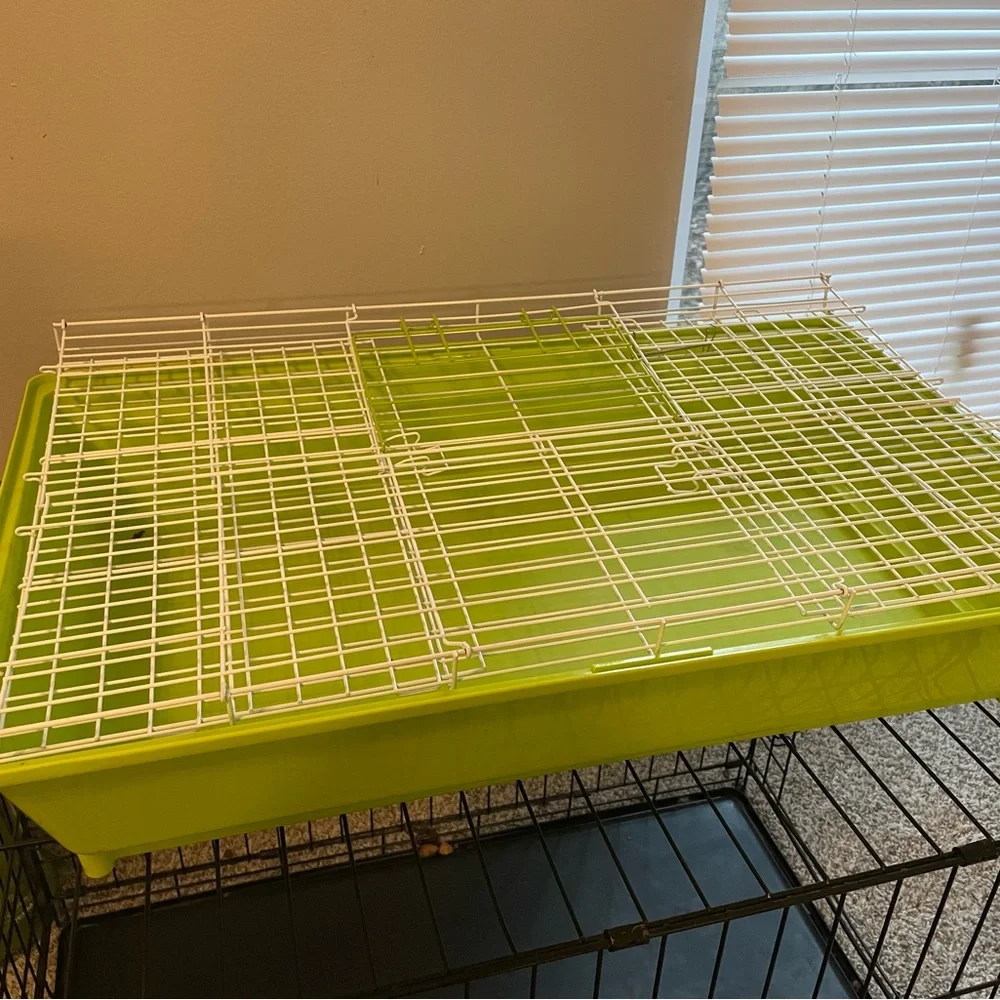 Guinea Pig cage